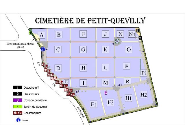chat le petit quevilly